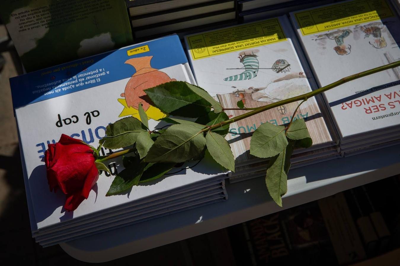 Detalle de una rosa sobre los libros de una de las paradas de las Ramblas de Barcelona. 