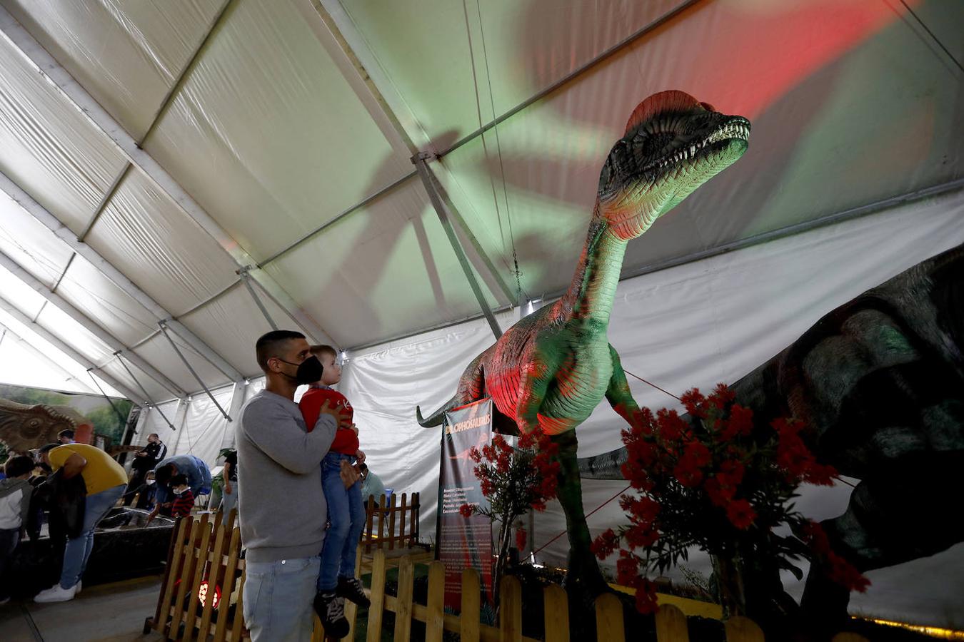 La carpa de Dinosaurs Tour en la Arruzafilla de Córdoba, en imágenes