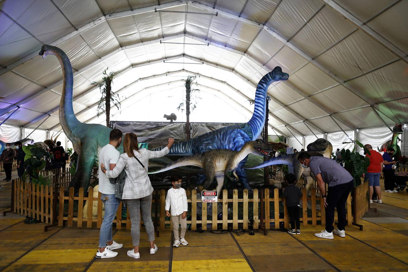 La carpa de Dinosaurs Tour en la Arruzafilla de Córdoba, en imágenes