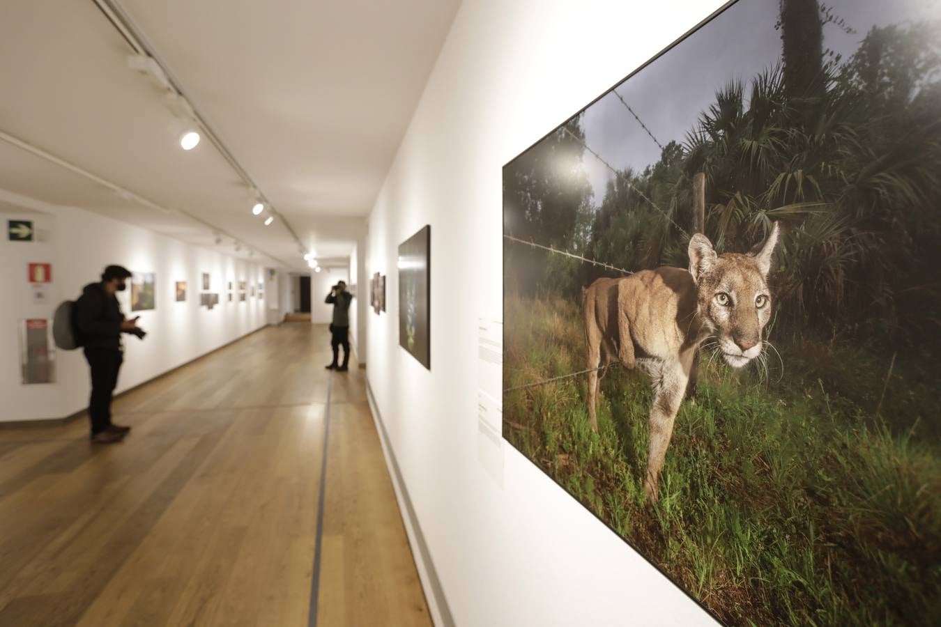 Inauguración de la exposición 'World Press Photo 2021'