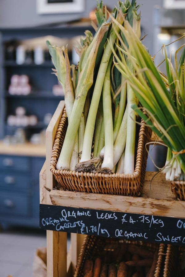 Puerro. La combinación del puerro, que une su aporte de vitamina A con un alto contenido en agua (90.5 g de cada 100) y un alto nivel de potasio (256 mg de cada 100 gramos) lo hacen el alimento perfecto para ayudarnos a no retener fluidos.