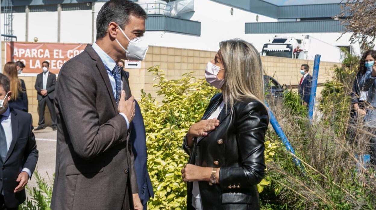 Pedro Sánchez visita las instalaciones de la farmacéutica Janssen en Toledo