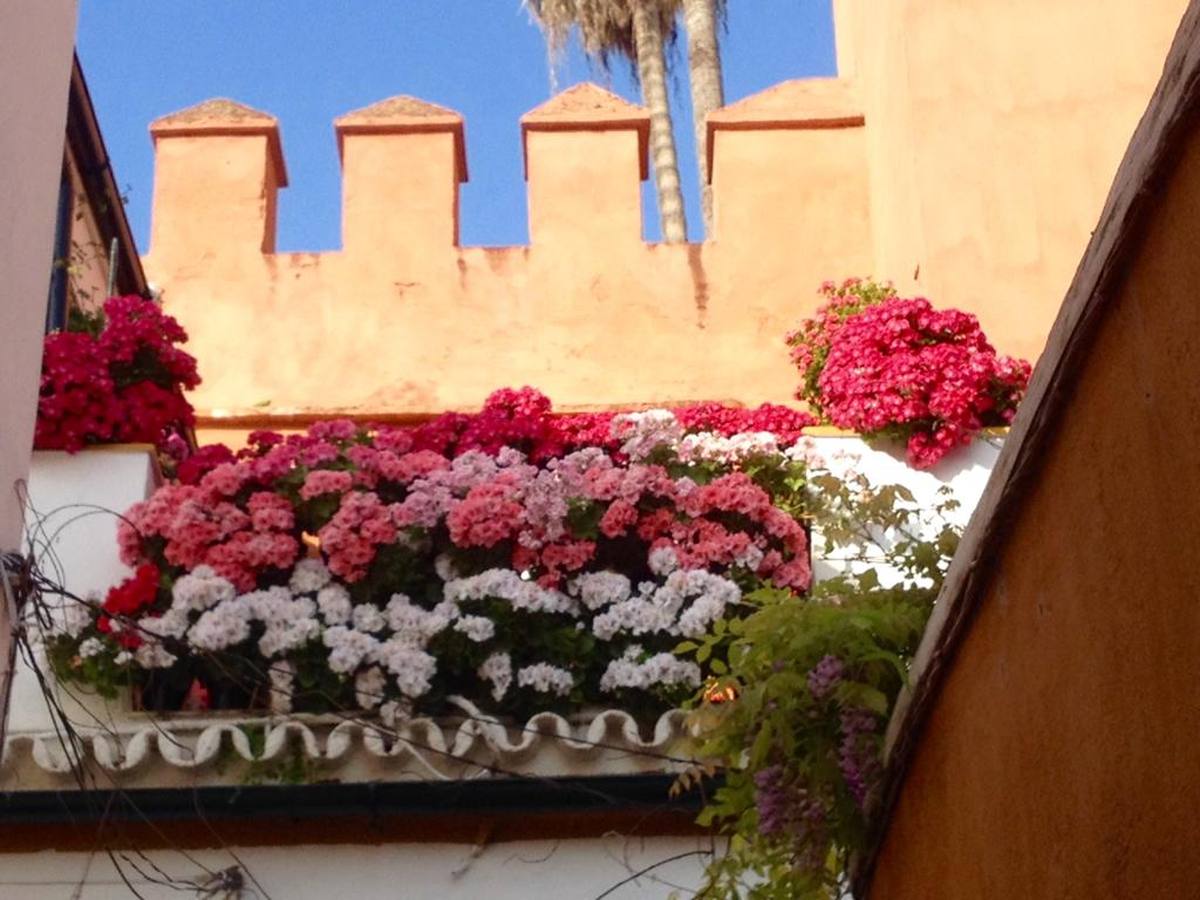 Balcones y rincones llenos de flores en el barrio de Santa Cruz