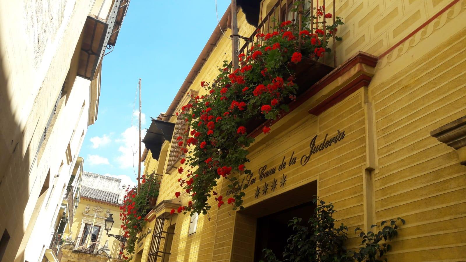 Balcones y rincones llenos de flores en el barrio de Santa Cruz