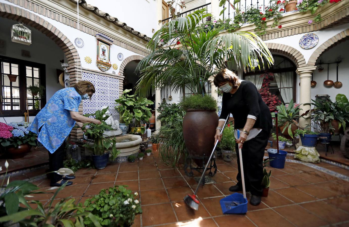 Los preparativos de los Patios de Córdoba, en imágenes