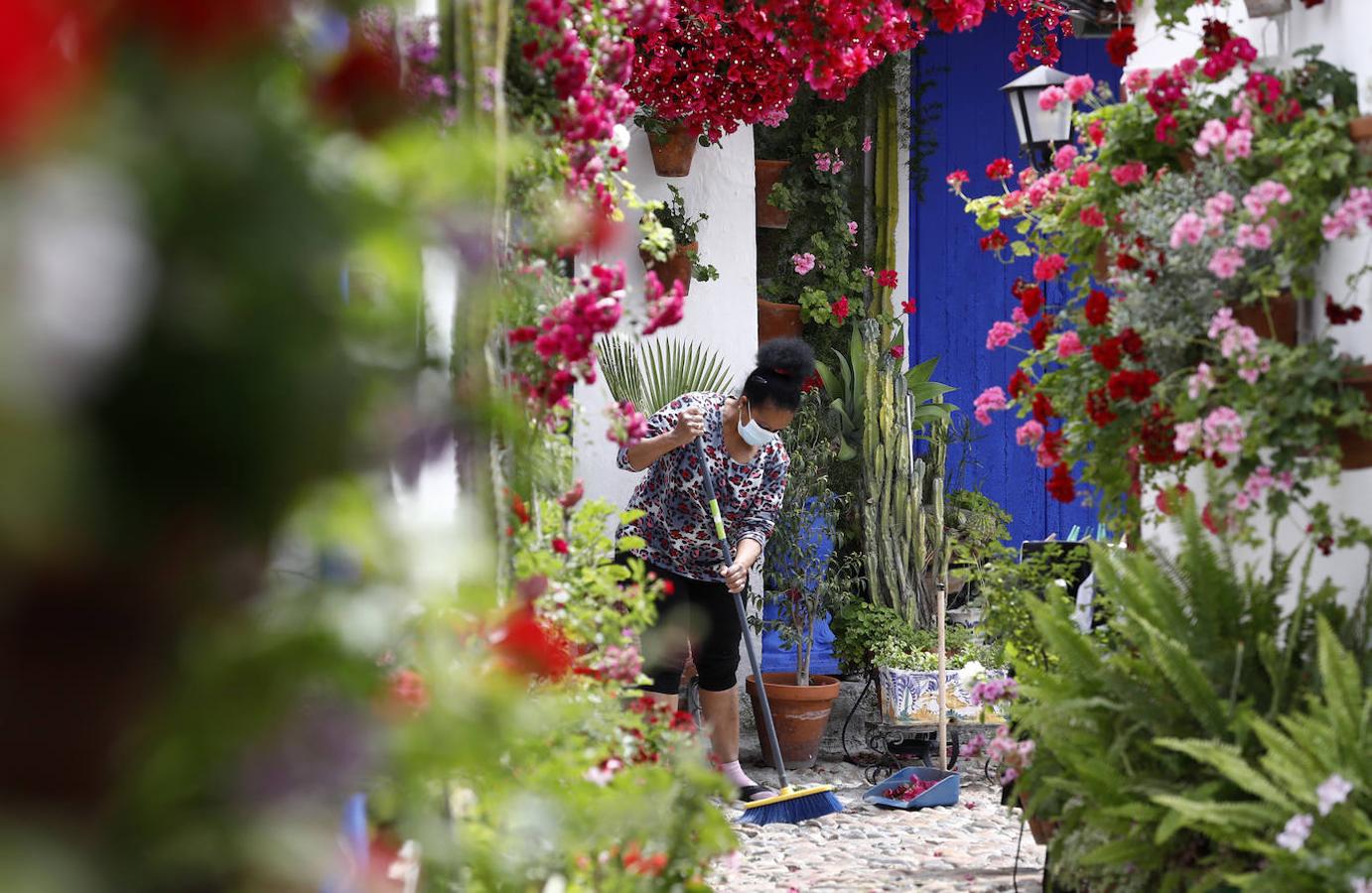 Los preparativos de los Patios de Córdoba, en imágenes