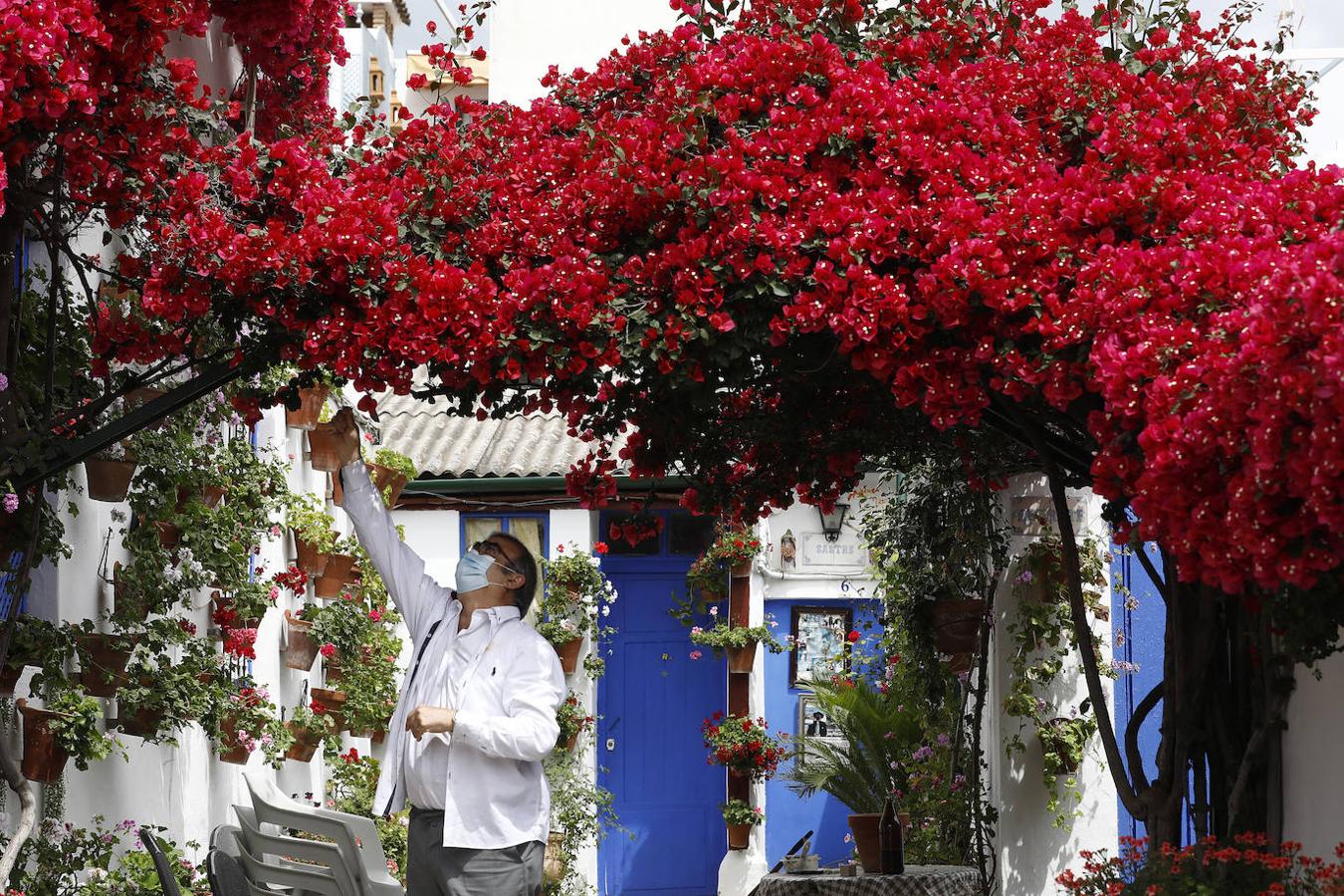 Los preparativos de los Patios de Córdoba, en imágenes