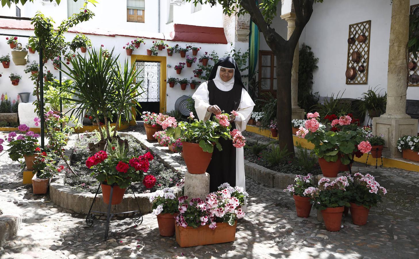 Los preparativos de los Patios de Córdoba, en imágenes