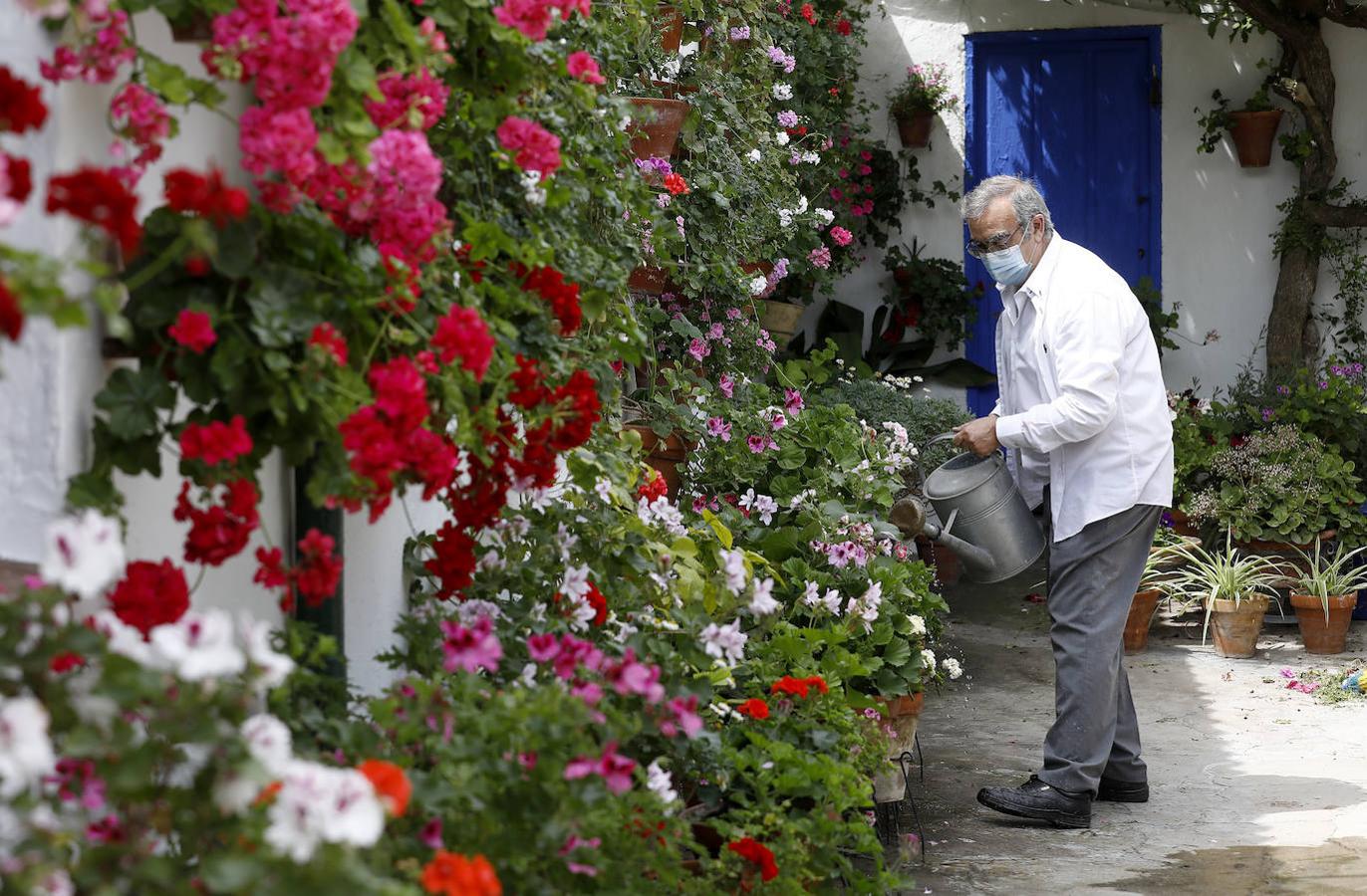 Los preparativos de los Patios de Córdoba, en imágenes