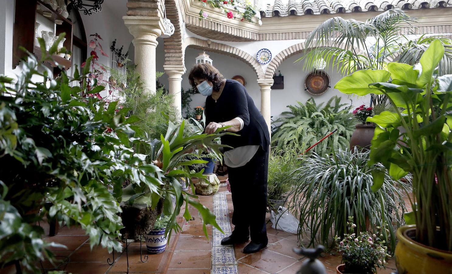 Los preparativos de los Patios de Córdoba, en imágenes