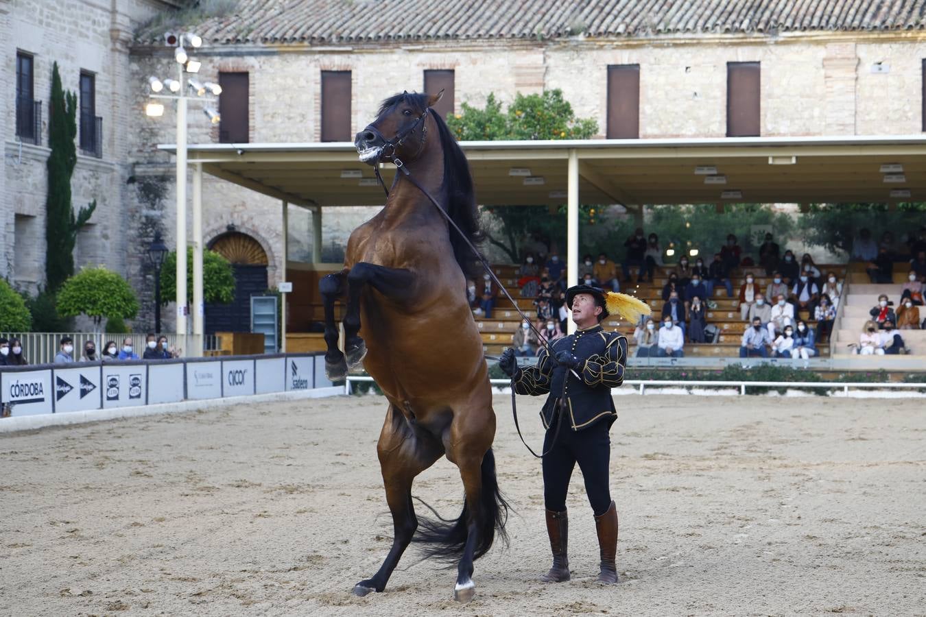 El espectáculo vuelve a las Caballerizas Reales de Córdoba, en imágenes