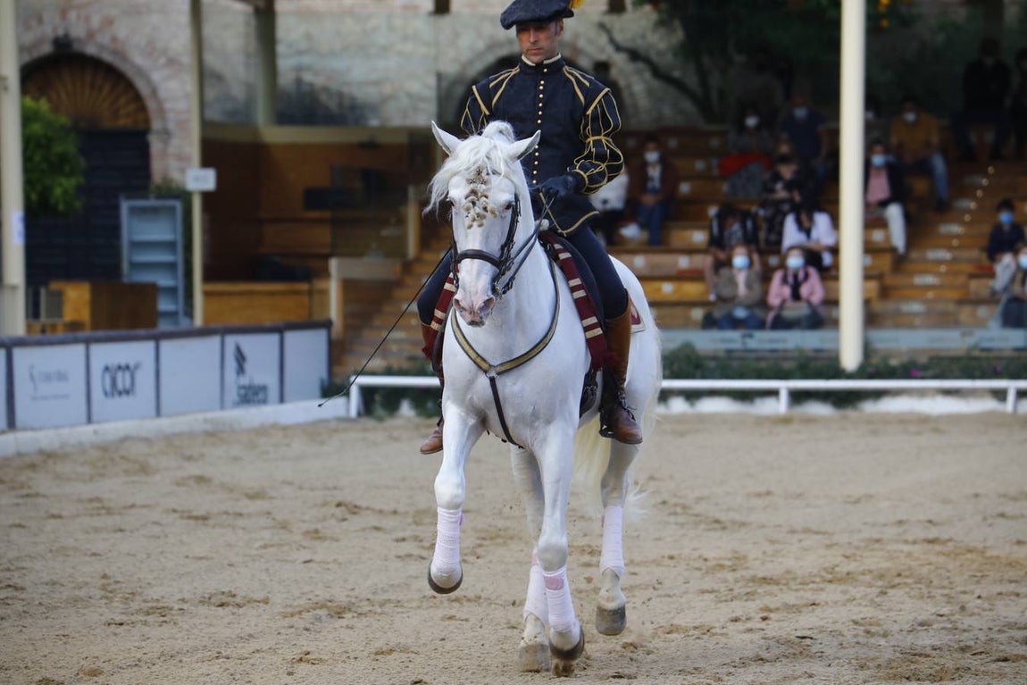 El espectáculo vuelve a las Caballerizas Reales de Córdoba, en imágenes