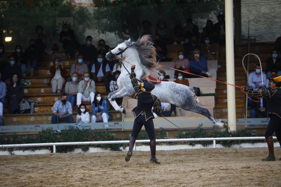 El espectáculo vuelve a las Caballerizas Reales de Córdoba, en imágenes