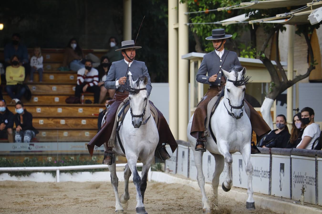 El espectáculo vuelve a las Caballerizas Reales de Córdoba, en imágenes