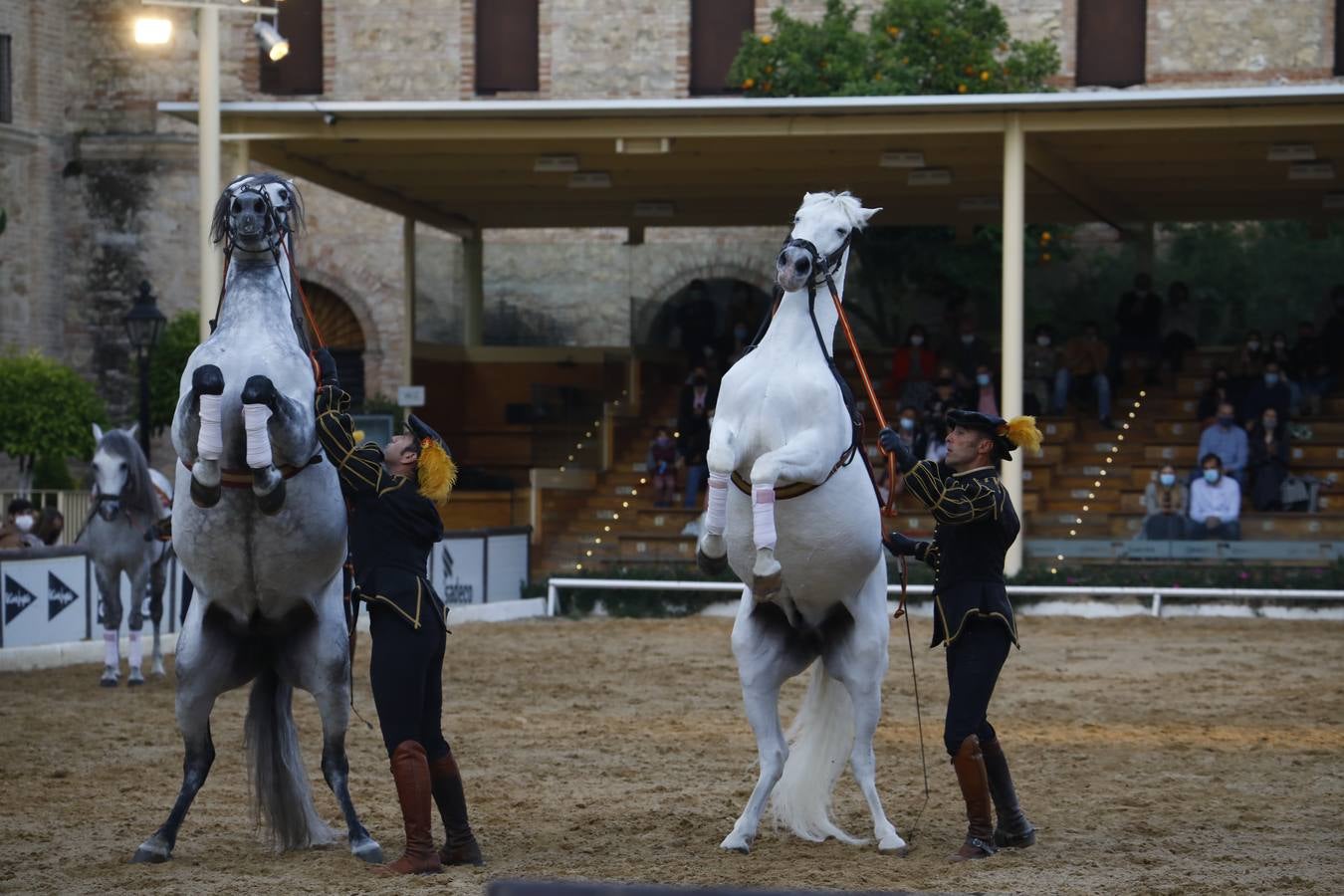 El espectáculo vuelve a las Caballerizas Reales de Córdoba, en imágenes