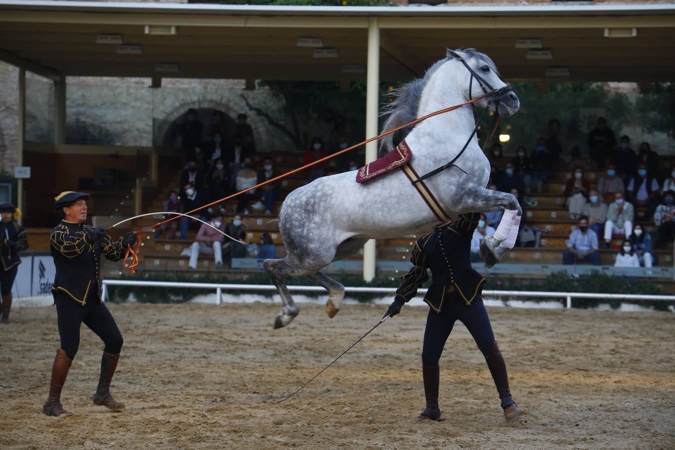 El espectáculo vuelve a las Caballerizas Reales de Córdoba, en imágenes