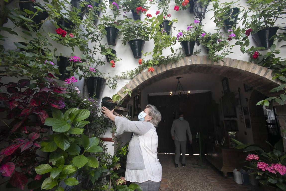 Patios Córdoba 2021 | Los últimos preparativos, en imágenes