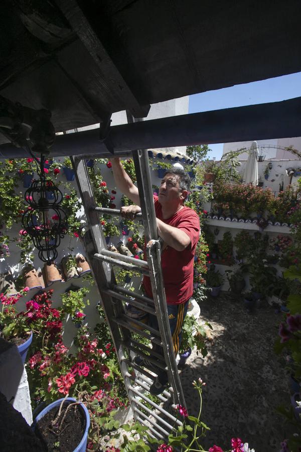 Patios Córdoba 2021 | Los últimos preparativos, en imágenes