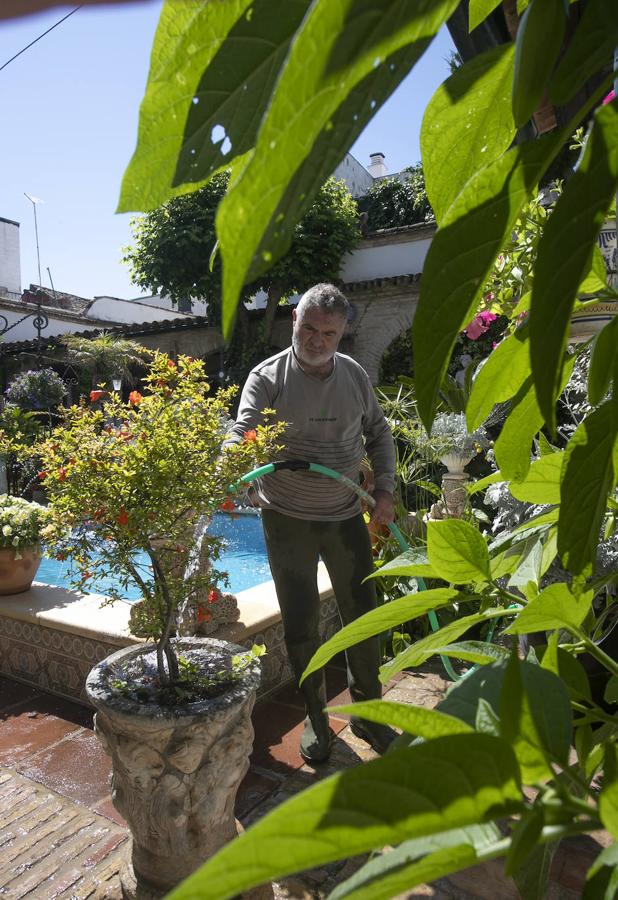 Patios Córdoba 2021 | Los últimos preparativos, en imágenes