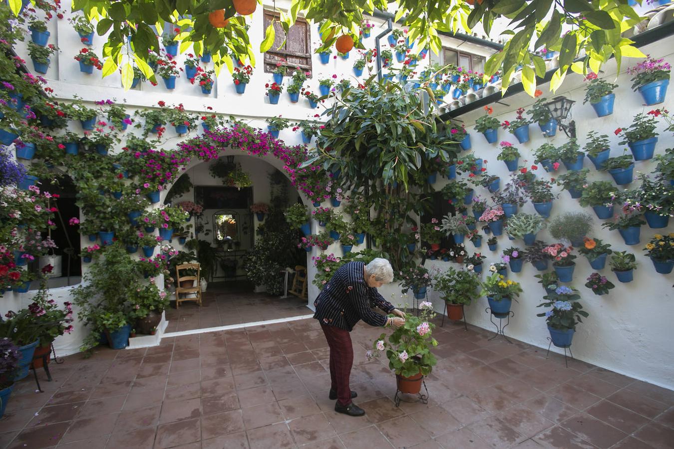 Patios Córdoba 2021 | Los últimos preparativos, en imágenes