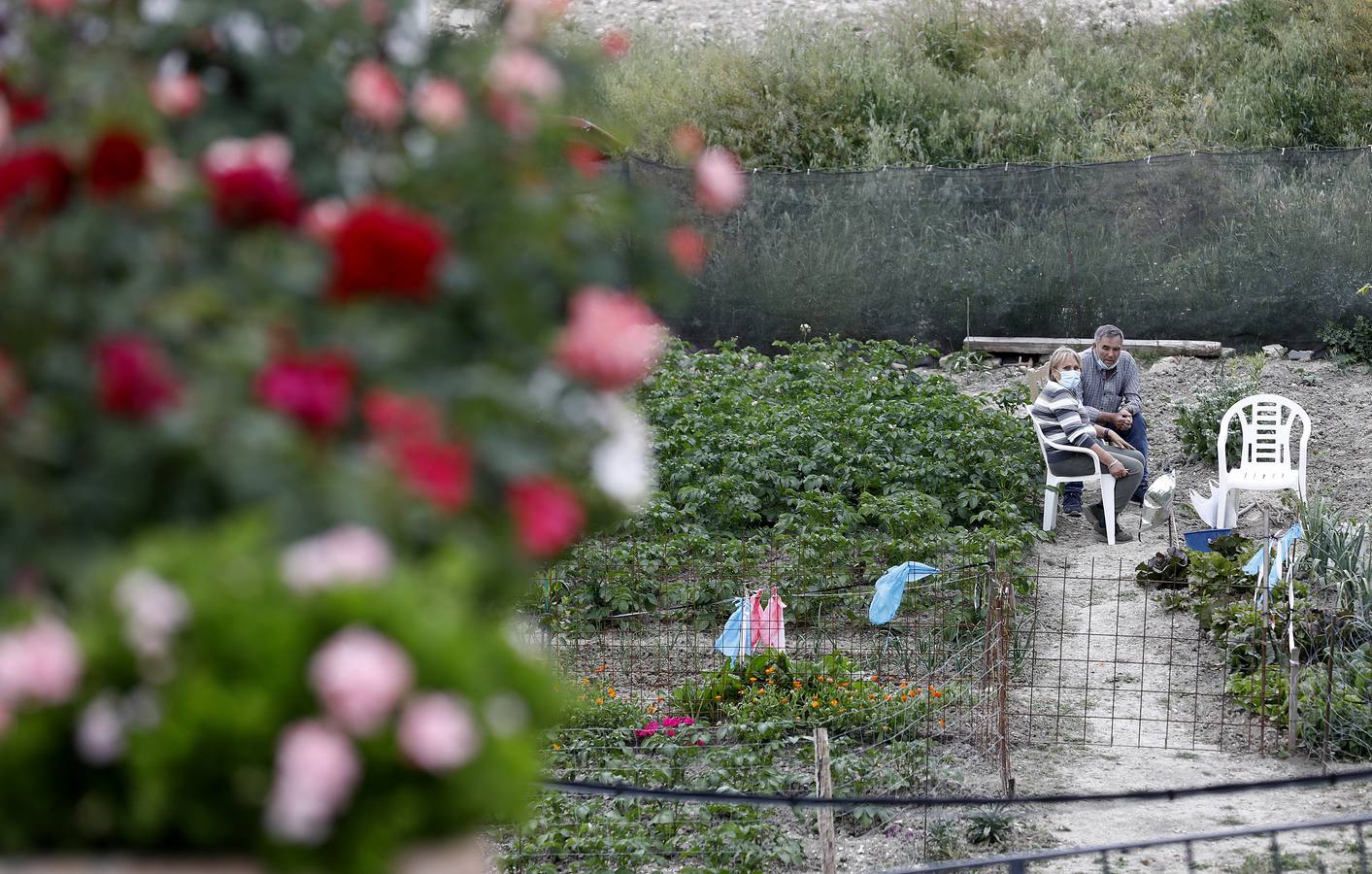 Cañete de las Torres y su paraíso floral, en imágenes