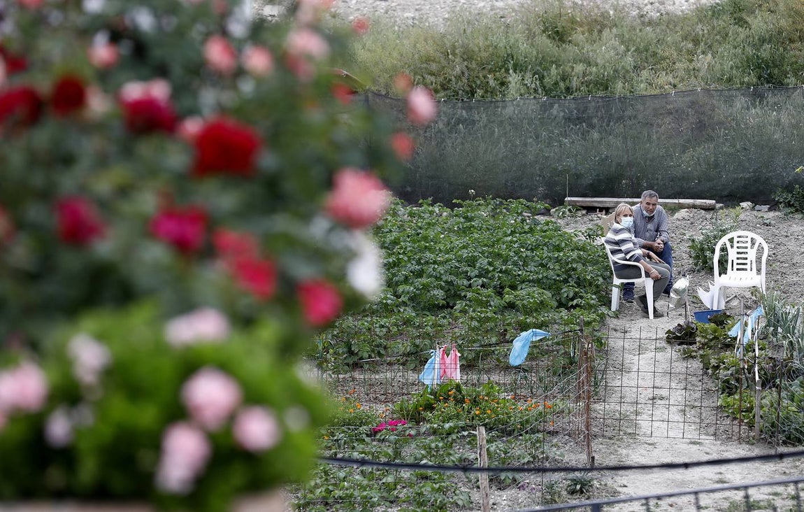 Cañete de las Torres y su paraíso floral, en imágenes