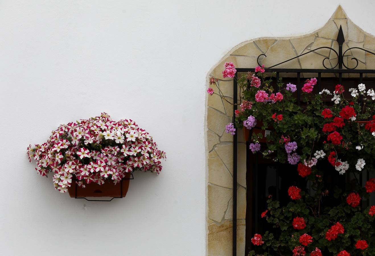 Cañete de las Torres y su paraíso floral, en imágenes