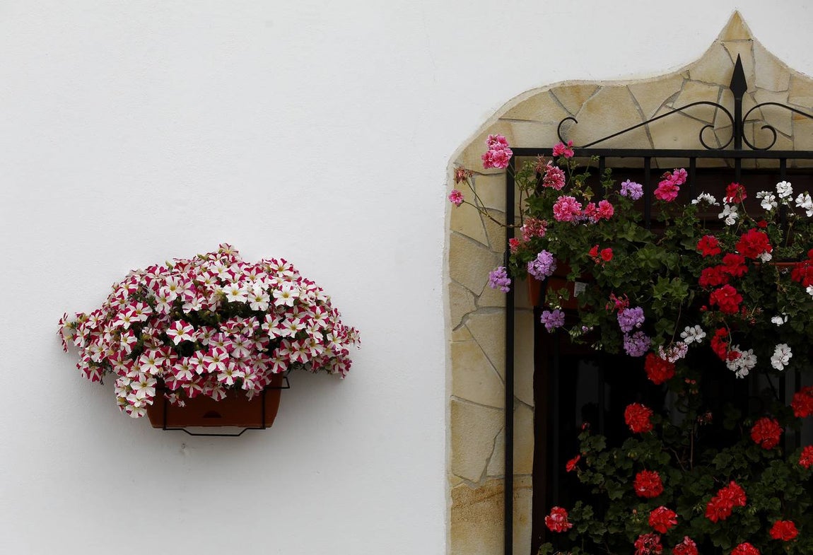 Cañete de las Torres y su paraíso floral, en imágenes