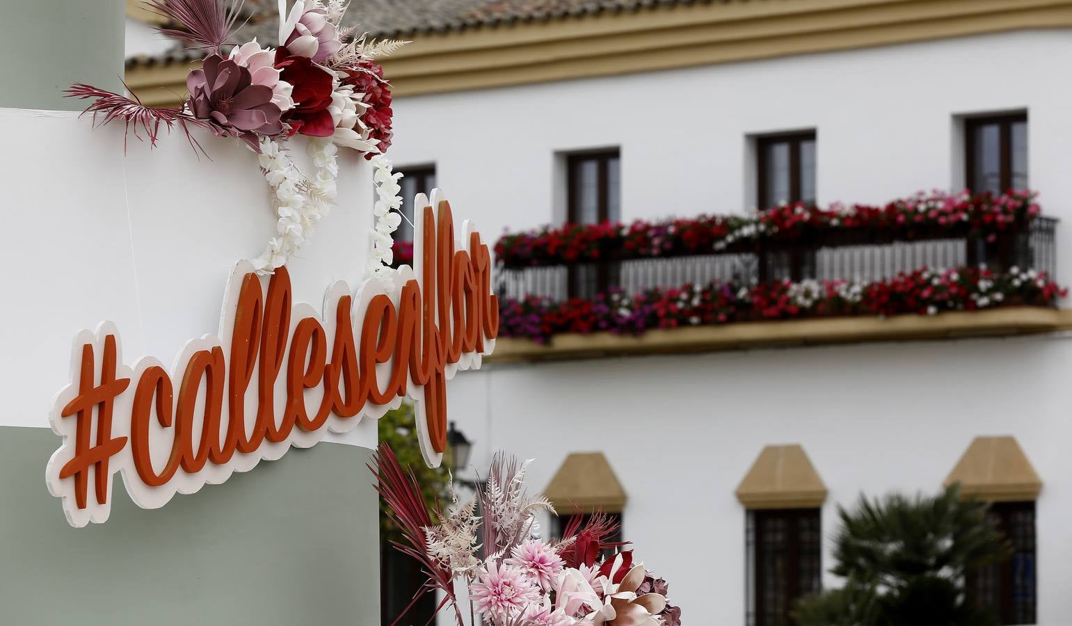 Cañete de las Torres y su paraíso floral, en imágenes