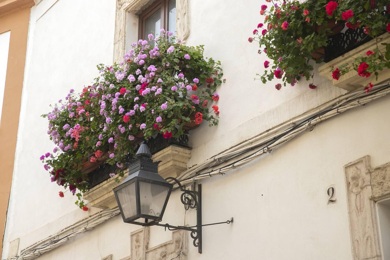 Los premios de Rejas y Balcones de Córdoba, en imágenes