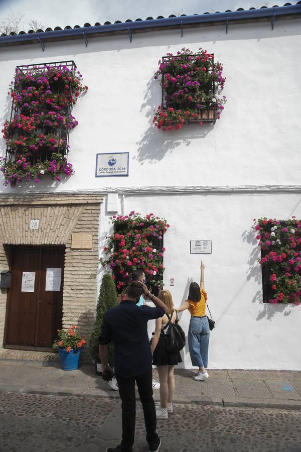 Los premios de Rejas y Balcones de Córdoba, en imágenes