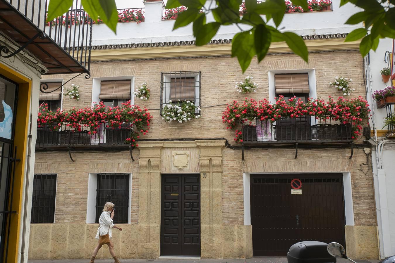 Los premios de Rejas y Balcones de Córdoba, en imágenes