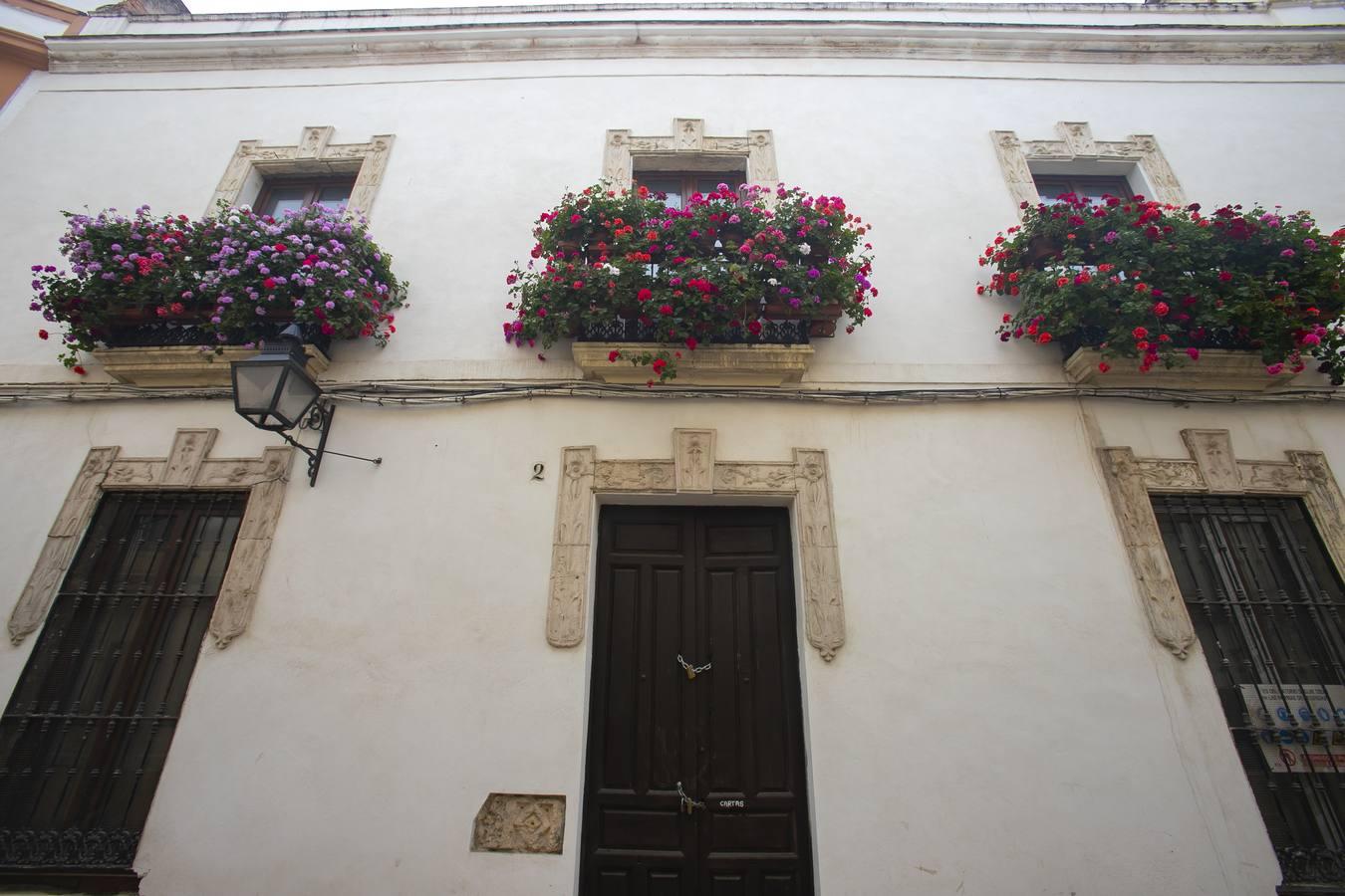 Los premios de Rejas y Balcones de Córdoba, en imágenes