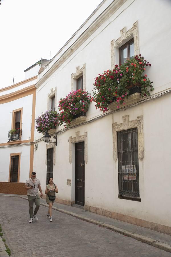 Los premios de Rejas y Balcones de Córdoba, en imágenes