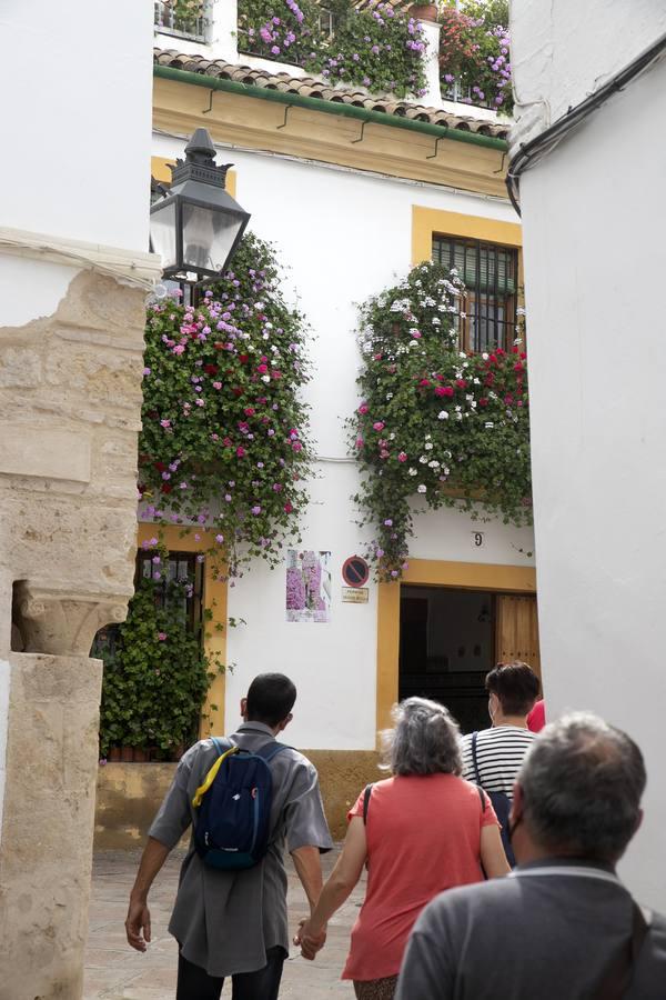 Los premios de Rejas y Balcones de Córdoba, en imágenes