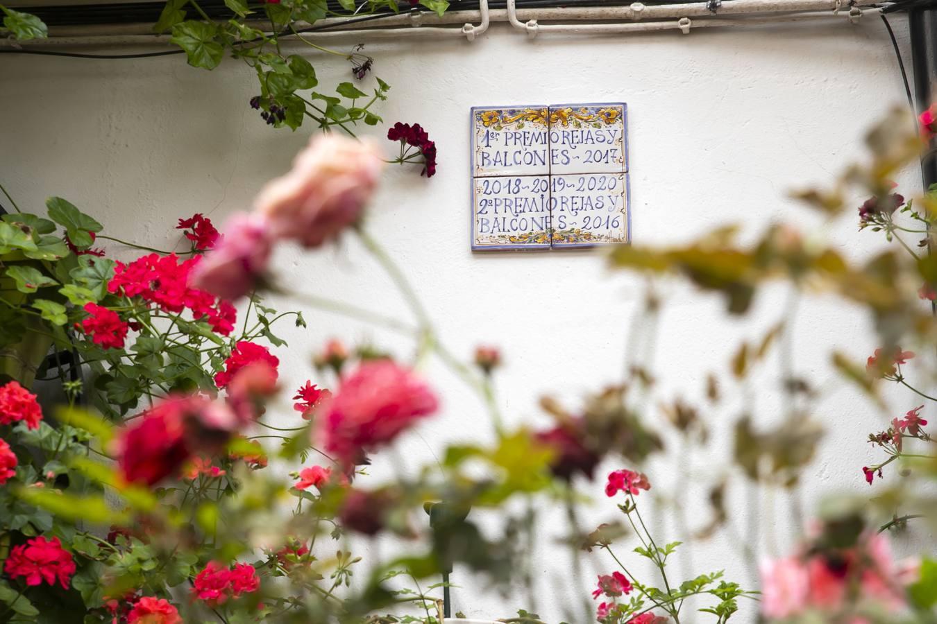 Los premios de Rejas y Balcones de Córdoba, en imágenes