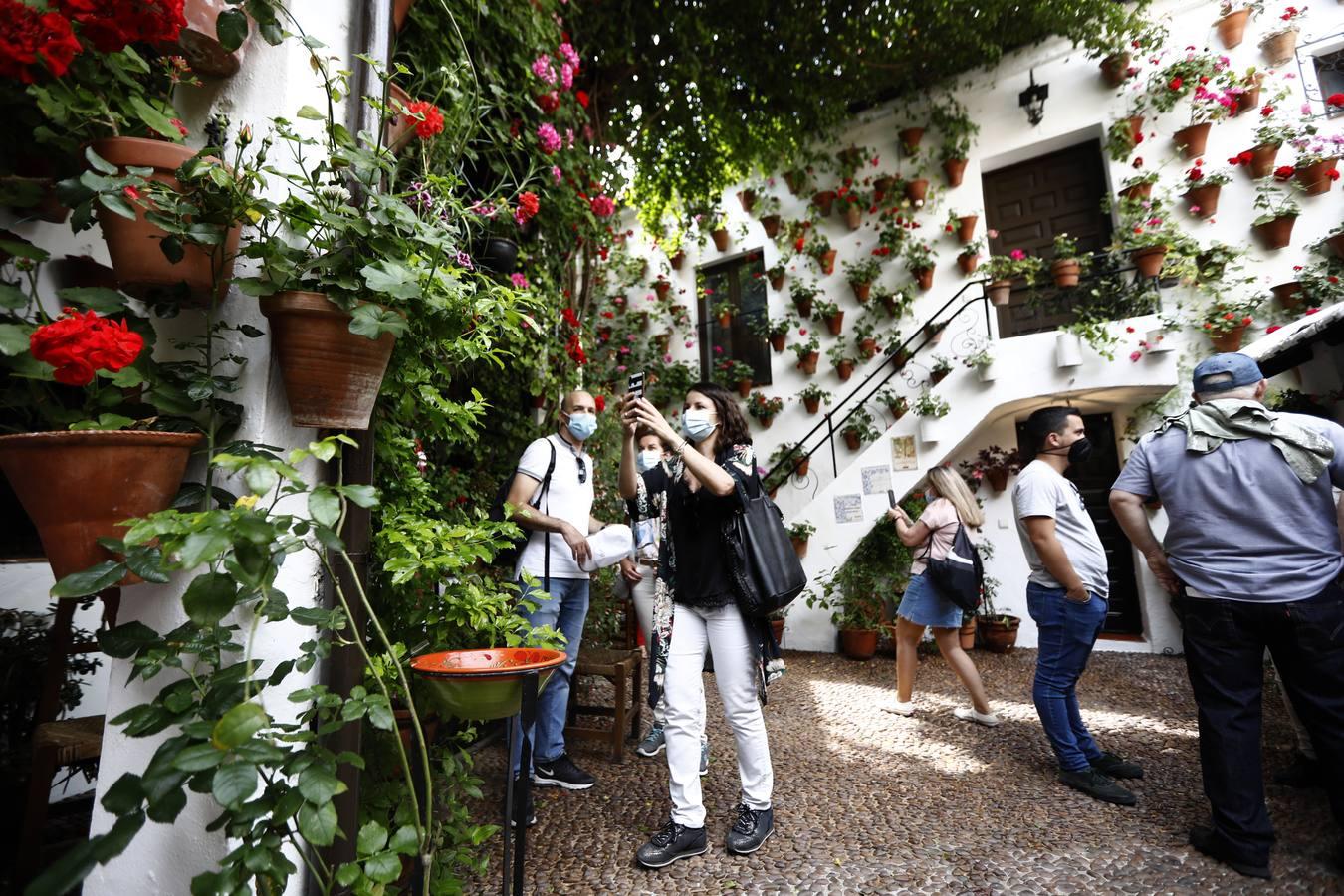 El sábado de Patios en Córdoba, en imágenes