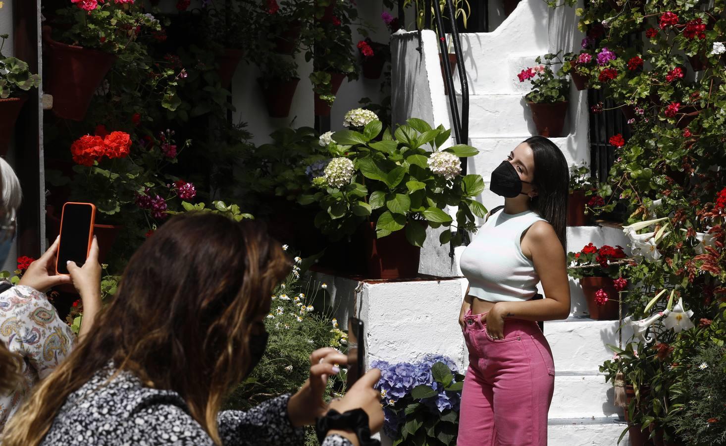 El sábado de Patios en Córdoba, en imágenes