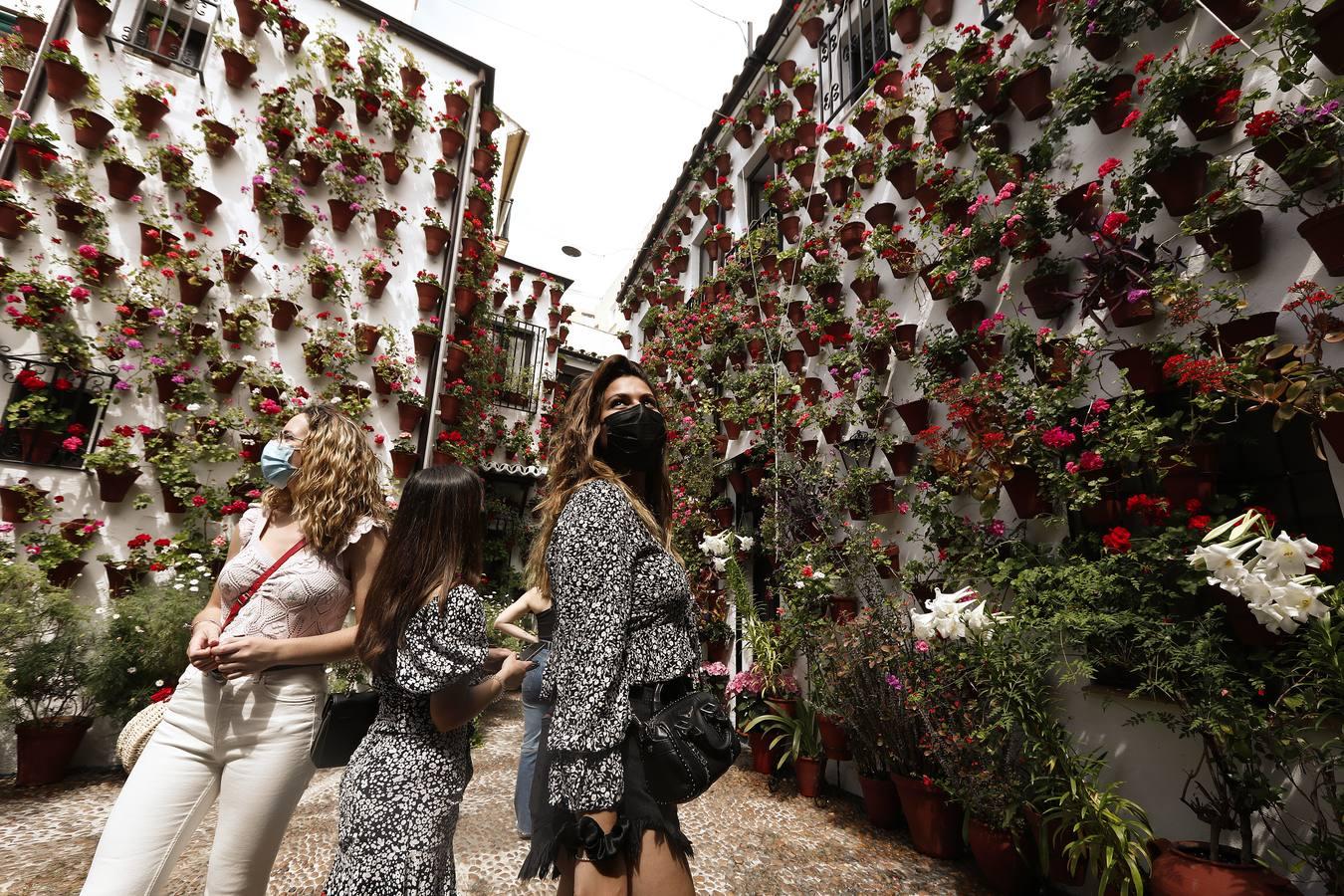 El sábado de Patios en Córdoba, en imágenes