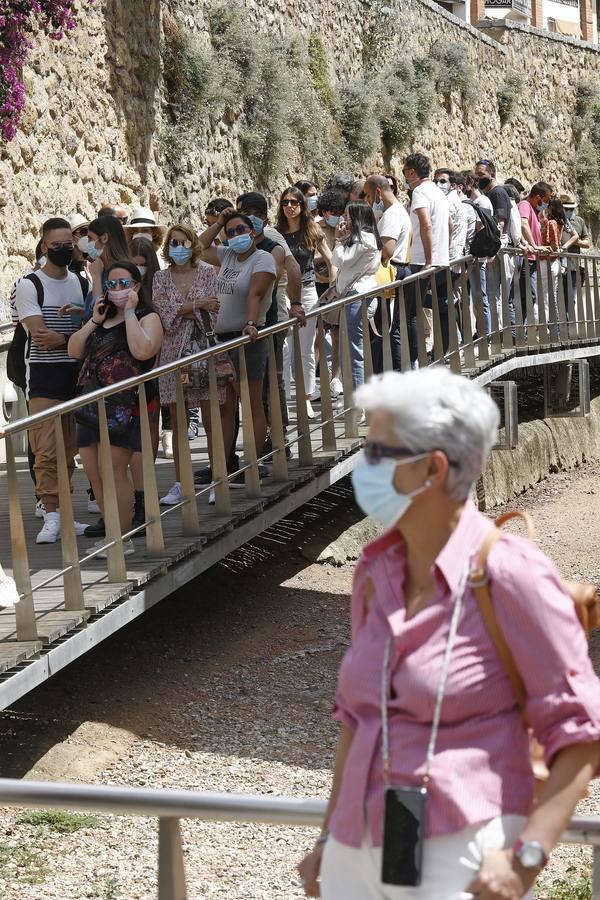 El sábado de Patios en Córdoba, en imágenes