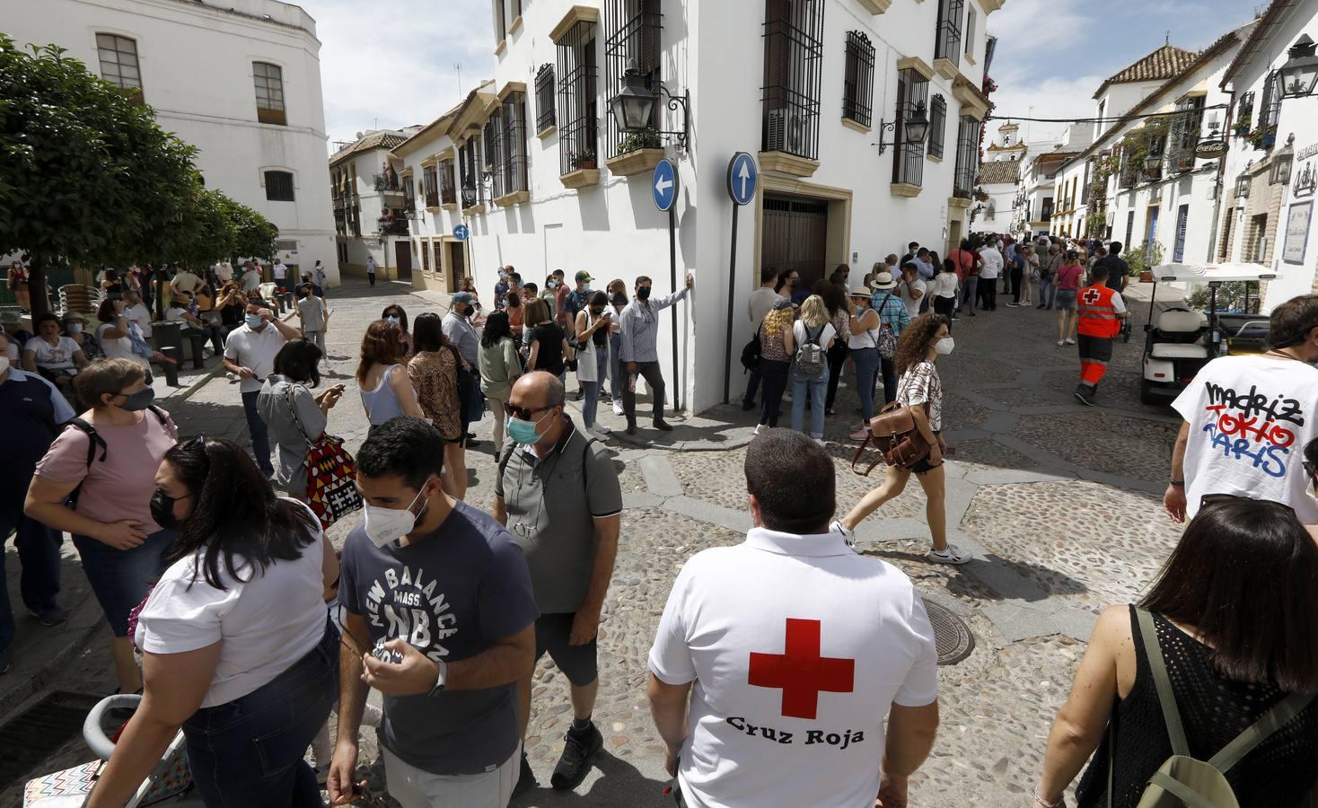 El sábado de Patios en Córdoba, en imágenes