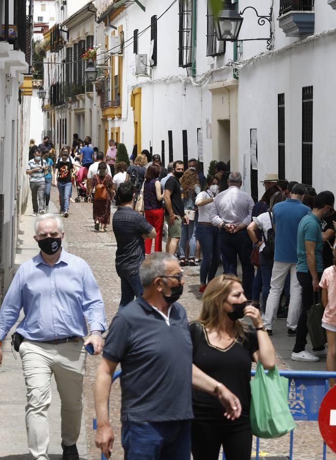 El sábado de Patios en Córdoba, en imágenes