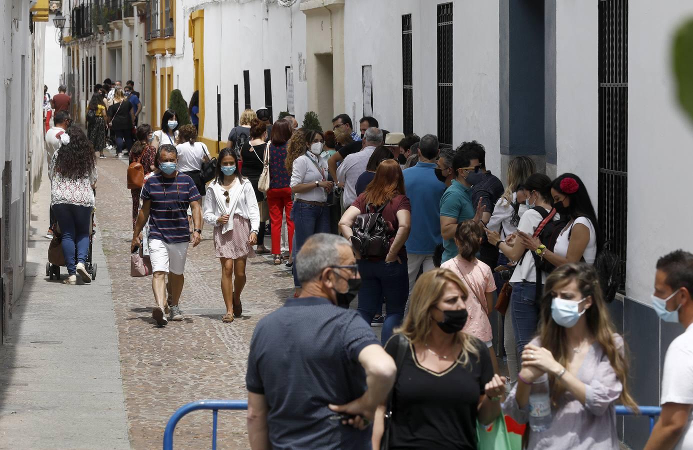 El sábado de Patios en Córdoba, en imágenes