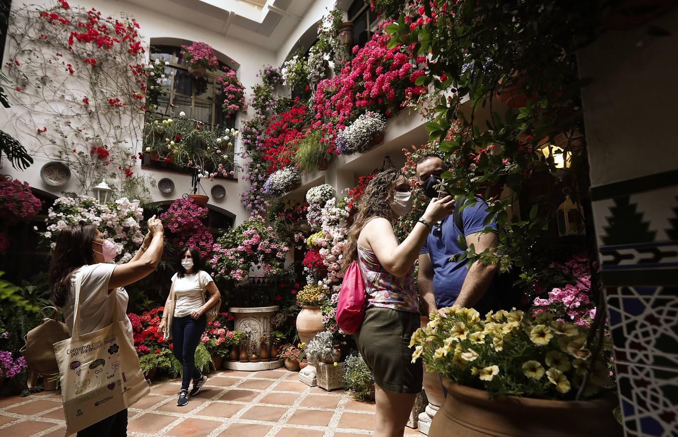 El sábado de Patios en Córdoba, en imágenes