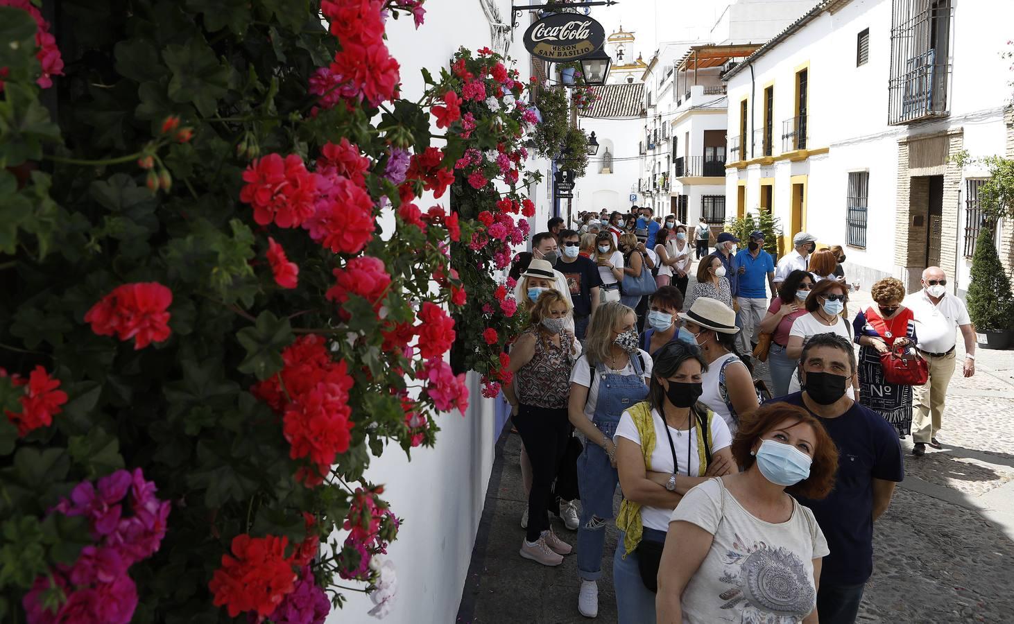 El sábado de Patios en Córdoba, en imágenes