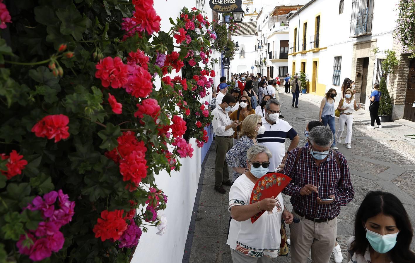 El sábado de Patios en Córdoba, en imágenes