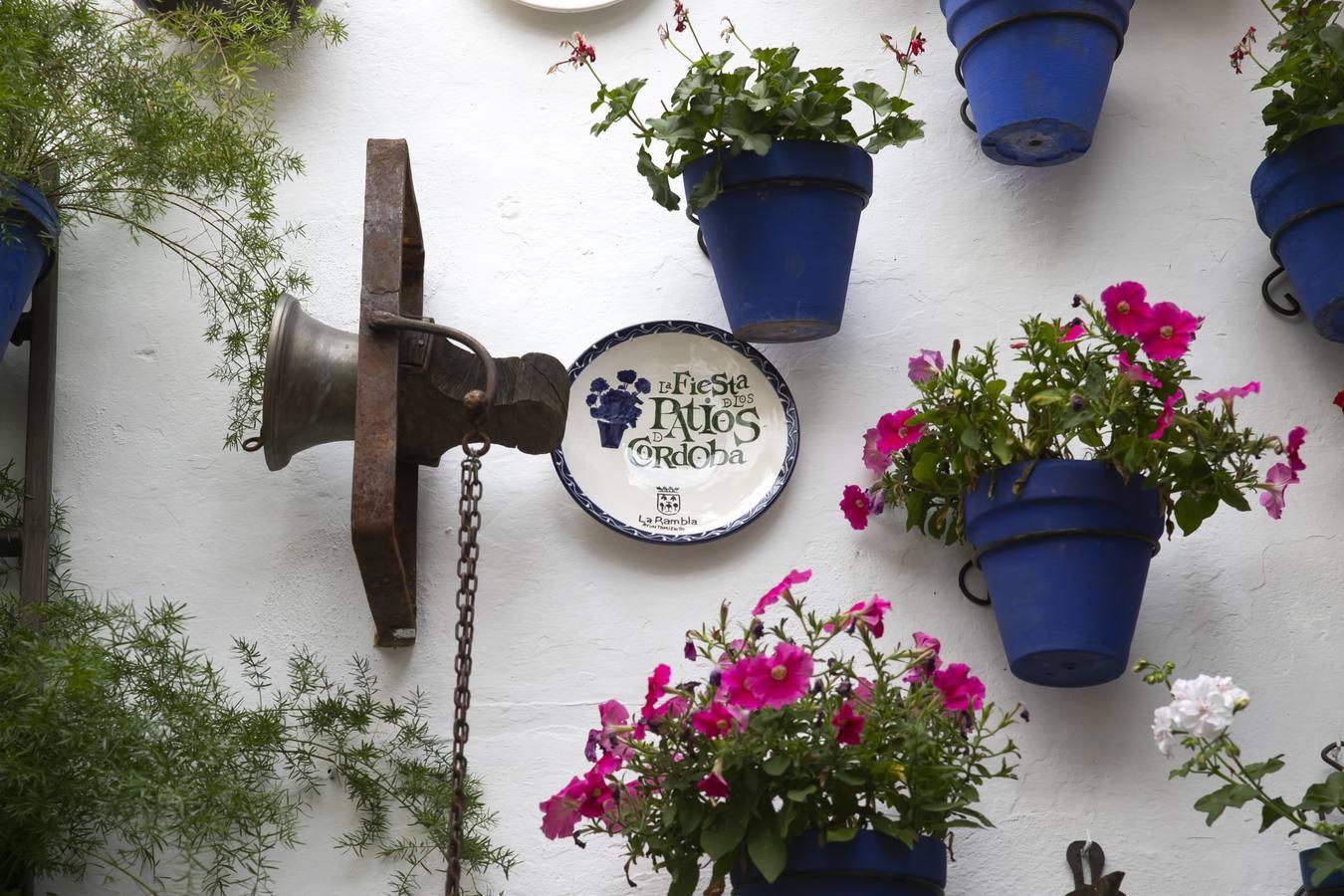 Los patios de San Lorenzo y San Agustín de Córdoba, en imágenes