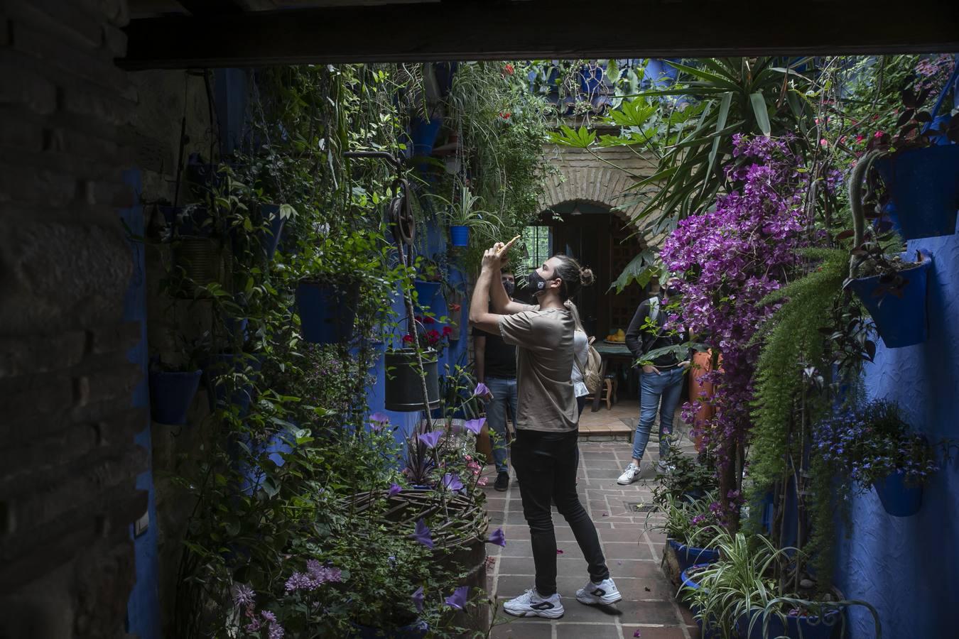 Los patios de San Lorenzo y San Agustín de Córdoba, en imágenes