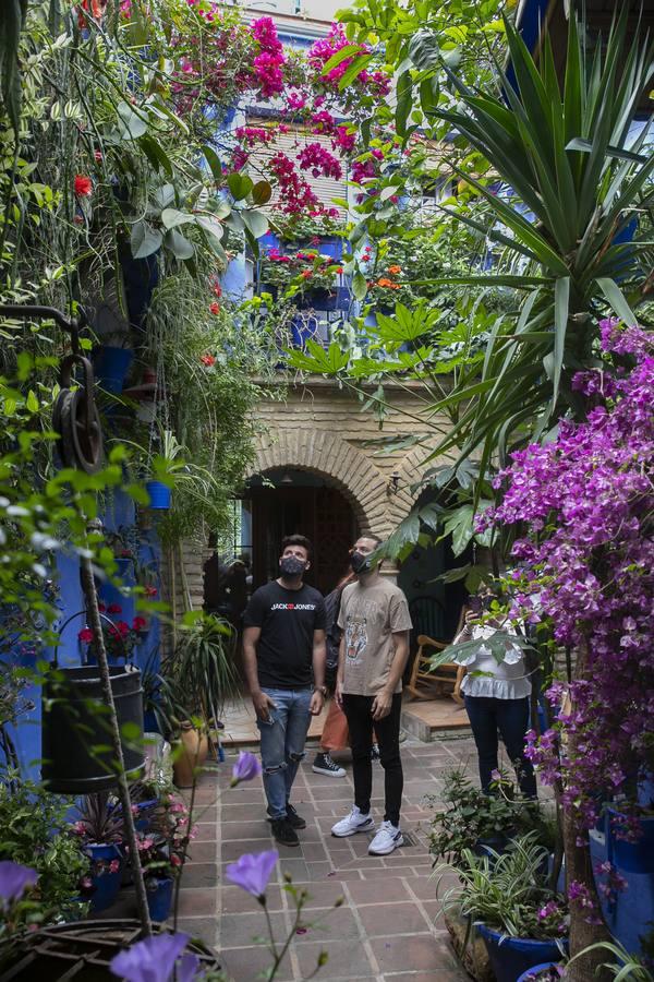 Los patios de San Lorenzo y San Agustín de Córdoba, en imágenes