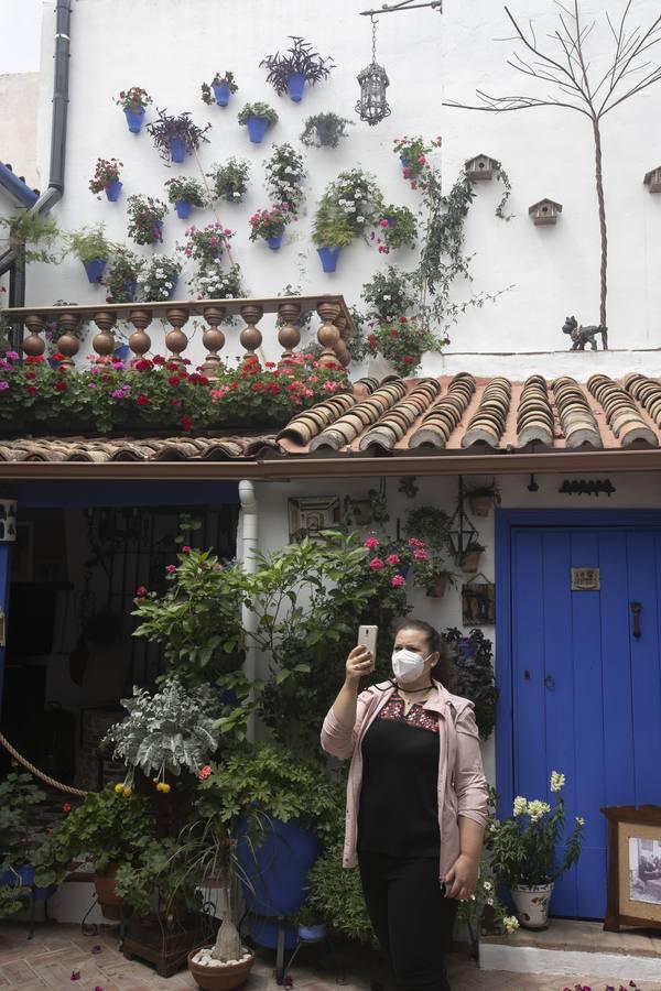 Los patios de San Lorenzo y San Agustín de Córdoba, en imágenes